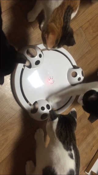 까꿍님이 올린 리뷰 사진 2