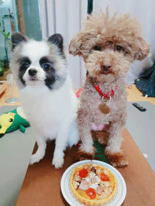 코콩님이 올린 리뷰 사진 1