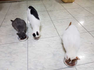 김민선님이 올린 리뷰 사진 4