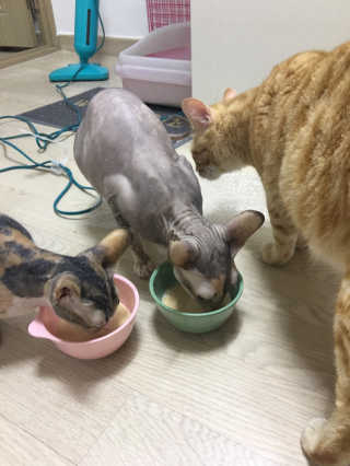 이아님이 올린 리뷰 사진 2
