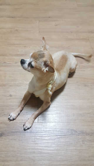 김대성님이 올린 리뷰 사진 2