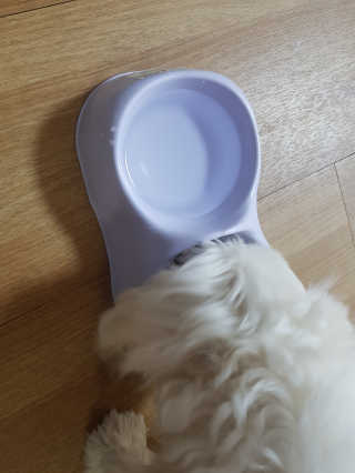 김고양이님이 올린 리뷰 사진 4