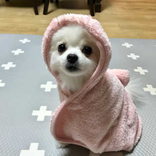 박수진님이 올린 리뷰 사진 1