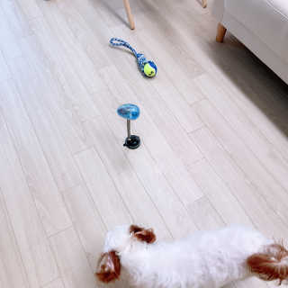 챔미님이 올린 리뷰 사진 4