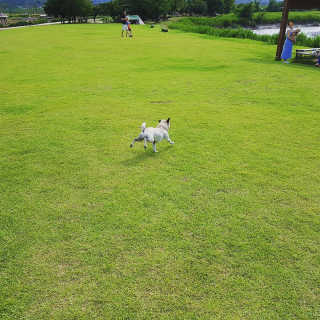 선승우님님이 올린 리뷰 사진 1