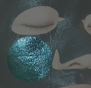 온솔님이 올린 리뷰 사진 4