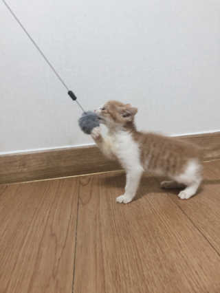 백여인님이 올린 리뷰 사진 3