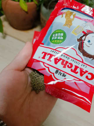 논지님이 올린 리뷰 사진 1