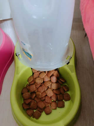 덩덩어니님이 올린 리뷰 사진 2