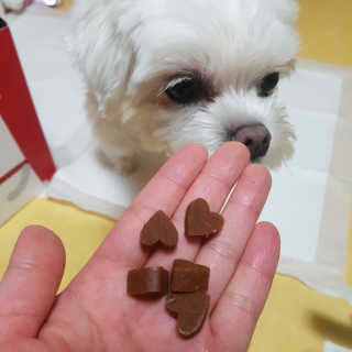 뽀오오옹님이 올린 리뷰 사진 3
