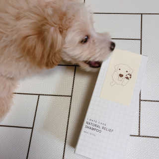 마이쏭님이 올린 리뷰 사진 1