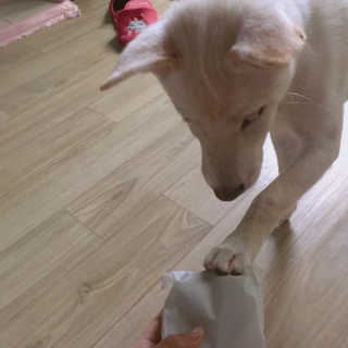강크성미님이 올린 리뷰 사진 3