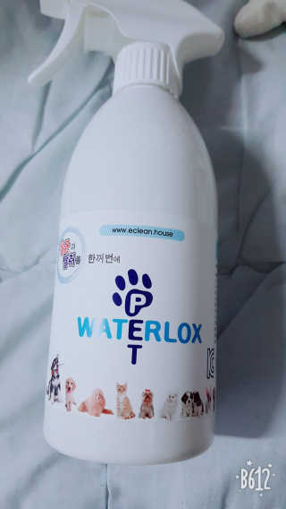 도영님이 올린 리뷰 사진 1