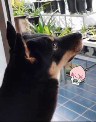 Joo님이 올린 리뷰 사진 3
