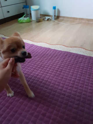 tmvksl5님이 올린 리뷰 사진 4