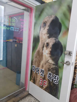 옹알이님이 올린 리뷰 사진 2