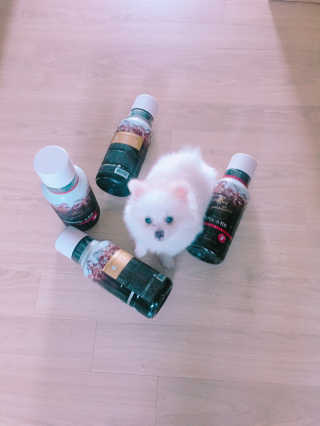 (주)쟈뎅 쟈뎅 시그니처 아메리카노 1.1L — 5점을 준 리뷰어가 2018년 8월 올린 사용 사진