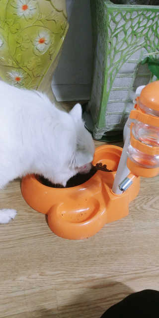 EunJeongKong님이 올린 리뷰 사진 4