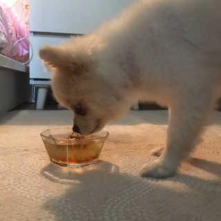 김단비님이 올린 리뷰 사진 4