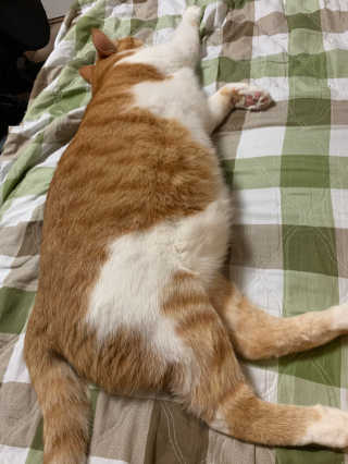 ollie님이 올린 리뷰 사진 3