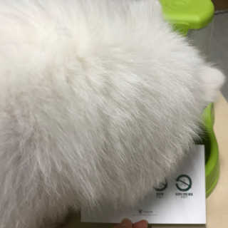덩덩어니님이 올린 리뷰 사진 2