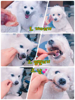 도리니님이 올린 리뷰 사진 4