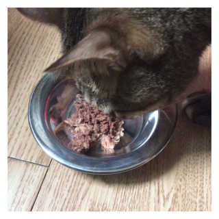 브리이에님이 올린 리뷰 사진 4