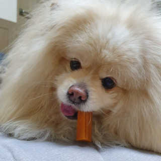 치리짱님이 올린 리뷰 사진 3