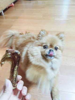 YulaKim님이 올린 리뷰 사진 1