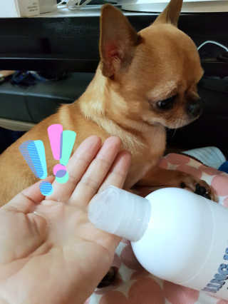 삼공주네님이 올린 리뷰 사진 4