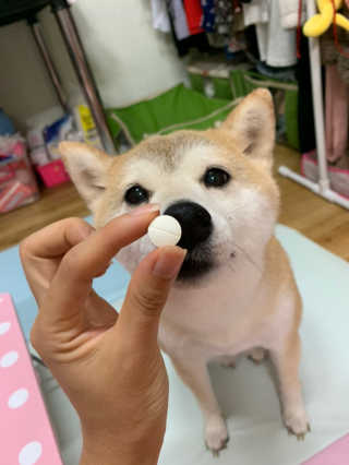 라미라미님이 올린 리뷰 사진 1