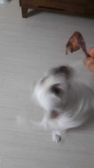 소확행님이 올린 리뷰 사진 4