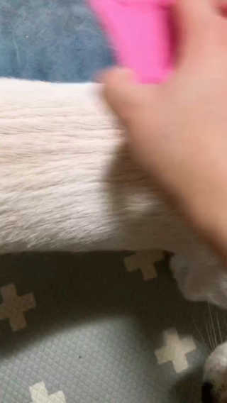 순심이님이 올린 리뷰 사진 3