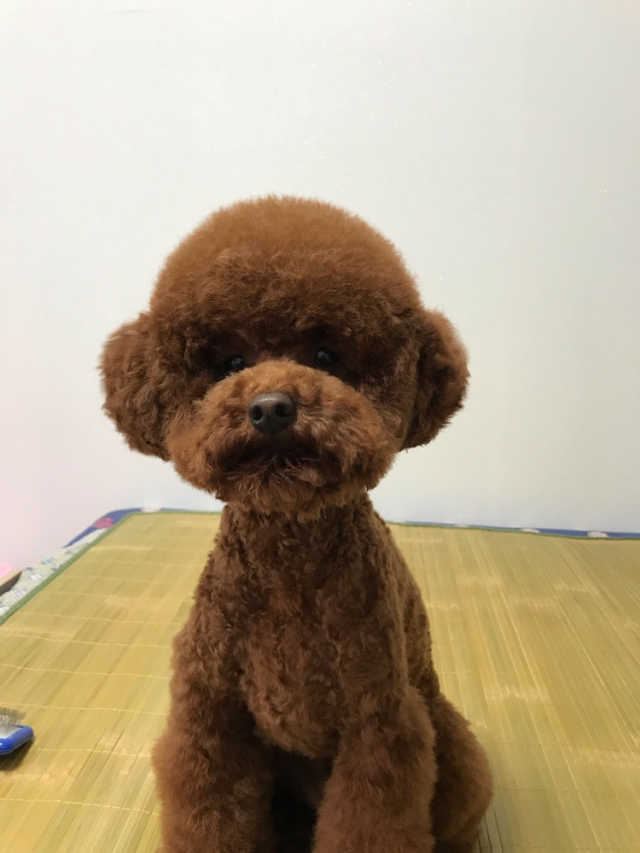 아이헤잇케이지 내추럴 릴리프 샴푸 리뷰 사진