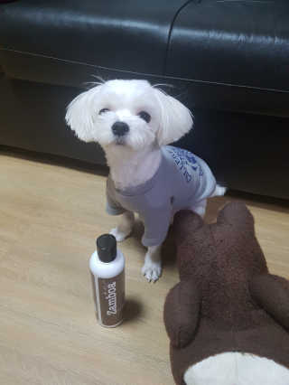 블링데코님이 올린 리뷰 사진 2