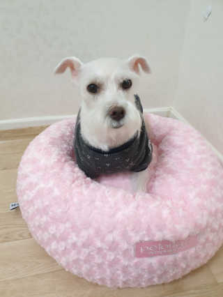 곰같은여우님이 올린 리뷰 사진 3