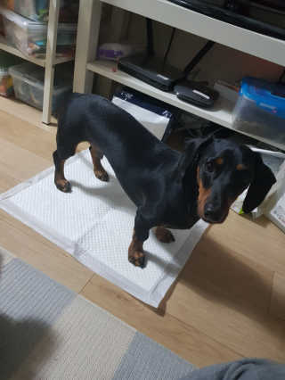이쁜이님이 올린 리뷰 사진 2