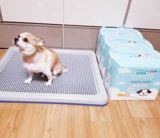 짬뽕이누나님이 올린 리뷰 사진 2