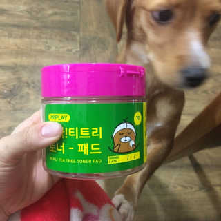 미플레이 진짜 티트리 토너 패드 — 5점을 준 리뷰어가 2018년 11월 올린 사용 사진
