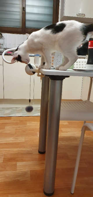 Juava님이 올린 리뷰 사진 1
