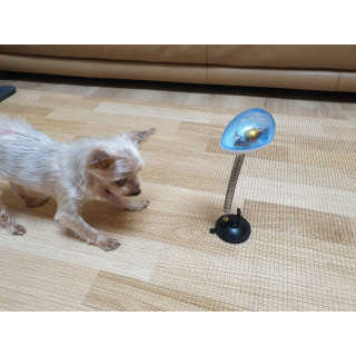 mini unni님이 올린 리뷰 사진 1