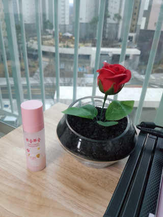 HyeRanSeo님이 올린 리뷰 사진 3
