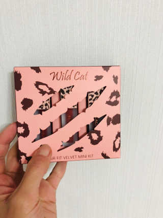 [블랙루즈] 에어 핏 벨벳 미니 키트4 — 4.5점을 준 리뷰어가 2019년 11월 올린 사용 사진