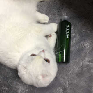 믕솔님이 올린 리뷰 사진 1