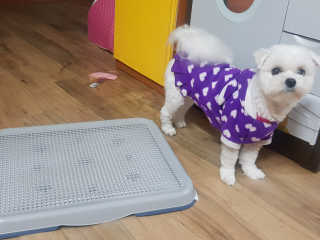 전형준님이 올린 리뷰 사진 3