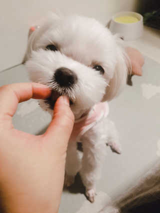 듀부듀부님이 올린 리뷰 사진 4