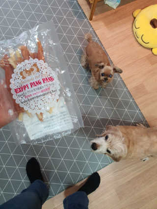 짱가엄마님이 올린 리뷰 사진 2