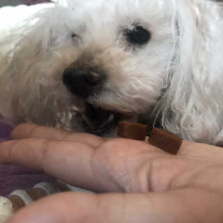 찡님이 올린 리뷰 사진 3