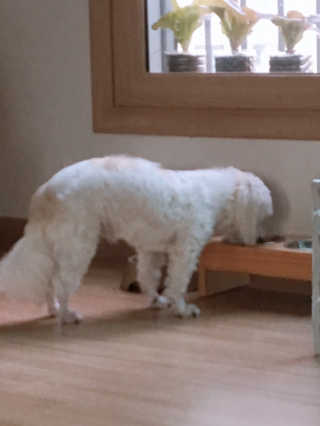 아이린지니님이 올린 리뷰 사진 4