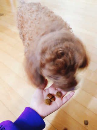 징지님이 올린 리뷰 사진 3